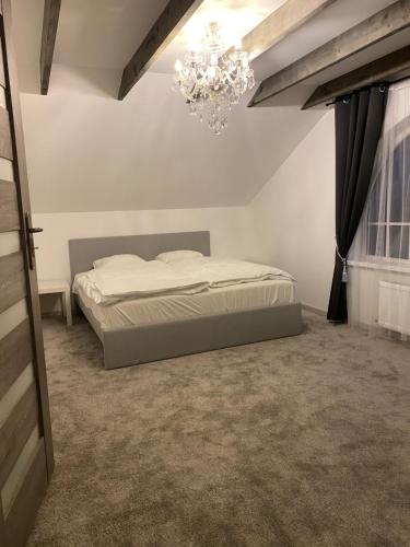 斯伽尔达PILADZI的一间卧室配有一张床和一个吊灯
