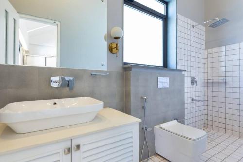 果阿旧城Luxury 3BHK Villa with Private Pool near Anjuna的一间带水槽、卫生间和镜子的浴室