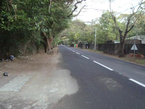 格兰贝伊Souriam Villa的一条在路边有树木的空路