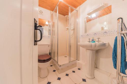 TorverMillers Cottage Woodland Coniston的带淋浴、卫生间和盥洗盆的浴室