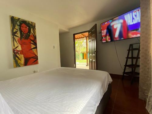 亚美尼亚MAGICA CABAÑA EN MEDIO DE LA NATURALEZA的卧室配有白色的床和平面电视。