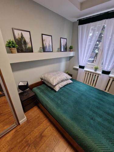 新松奇APARTAMENT SĄDECKA OSTOJA的一间卧室配有一张带绿色棉被的床