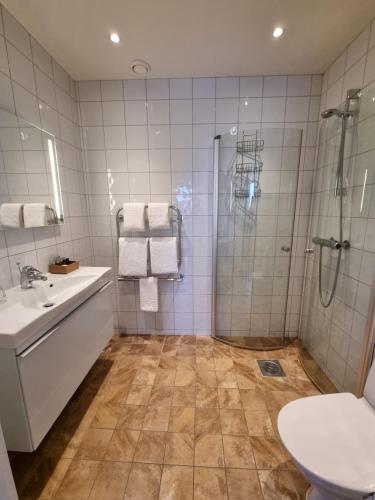 东哈尔马Gamla Järnhandeln - Norrskedika Hotell的带淋浴、盥洗盆和卫生间的浴室
