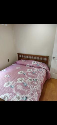 蓬塔阿雷纳斯Héctor cabañas的一间卧室配有一张带粉色毯子的床