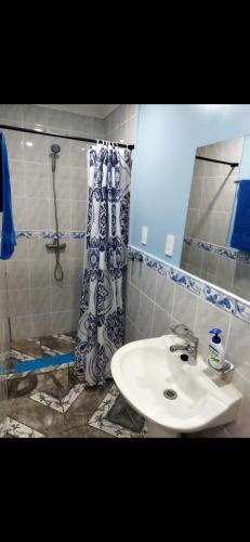 蓬塔阿雷纳斯Héctor cabañas的一间带水槽和淋浴的浴室