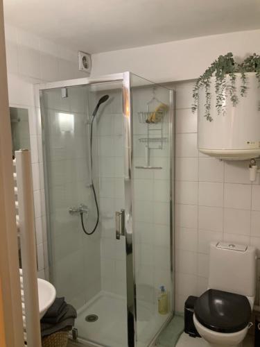格勒诺布尔Good Vibes的带淋浴和卫生间的浴室