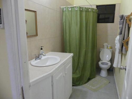 LaborieSouthern Haven Guesthouse的浴室设有水槽和绿色的淋浴帘