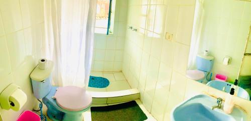 库斯科Ukumari Hostel的浴室配有蓝色卫生间和淋浴。