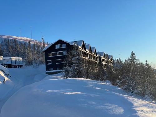 GaustablikkAstonishing Mountain Lodge at the top of Gaustablikk, 25m2 west facing terrace, 3 bedrooms的雪中的一个小木屋,里面有许多树木