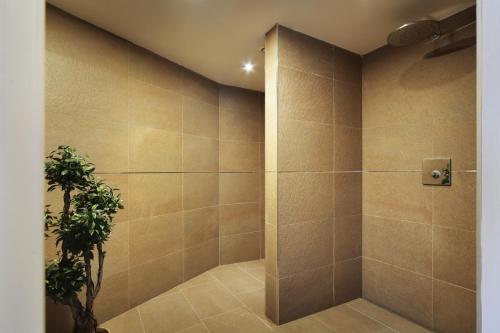 阿皮亚诺苏拉斯特拉达乌特林酒店的一间带淋浴的浴室,里面装有植物