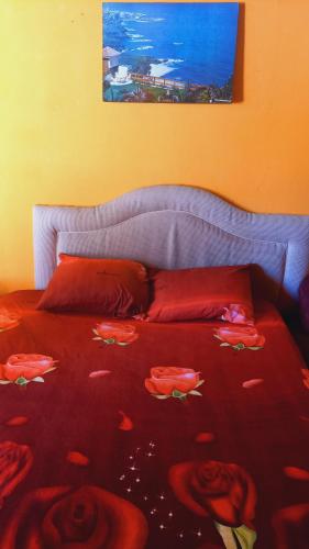 LuqueHospedaje Luque的一张床上的红色床罩和玫瑰花