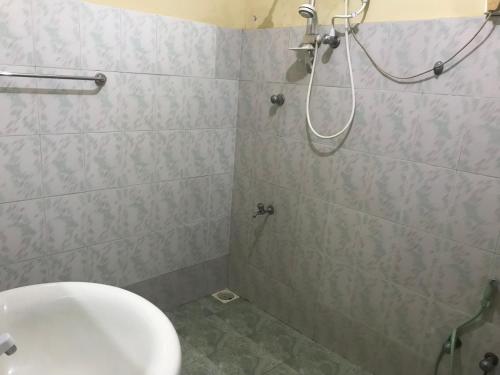 波隆纳鲁沃Green Parrot Family Resort的带淋浴、卫生间和盥洗盆的浴室