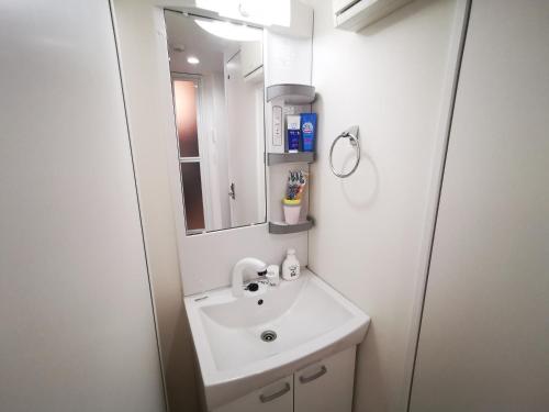 东京KIKI HOUSE 新小岩的一间带水槽和镜子的浴室