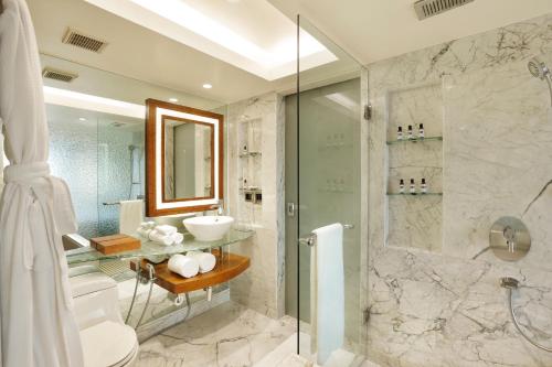 新德里新德里凯悦酒店 的带淋浴、卫生间和盥洗盆的浴室