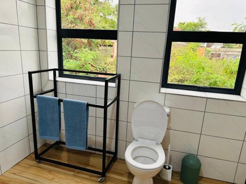 温特和克CHARLCEDOON MANSIONS的一间带卫生间的浴室和两个窗户。