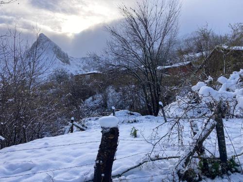 RozapaneraCasa de Ligueria的一座有树木和栅栏的雪覆盖的山丘