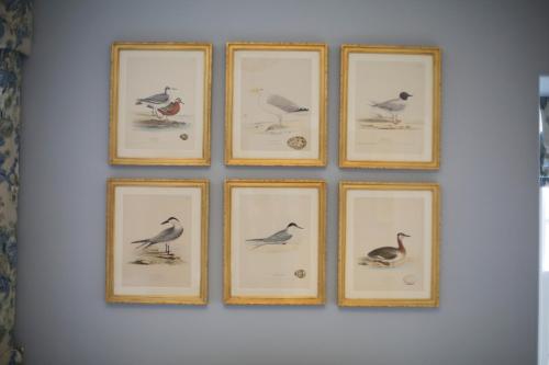 瑟索The Granary Lodge Bed & Breakfast的墙上有四幅鸟儿的画像