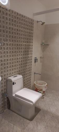 布莱尔港Pibo Homestay的浴室配有白色卫生间和淋浴。