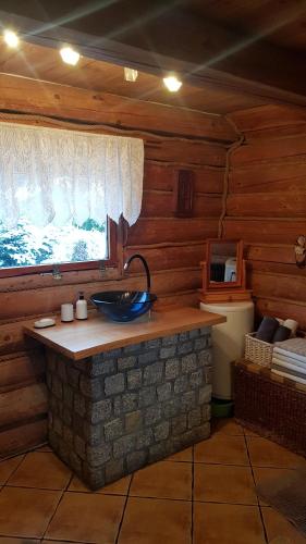 Nowy BarkoczynDzika Chata的小木屋内带水槽的浴室