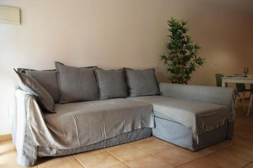 拉特吉塔Sotavento Tejita, terrace and beach的客厅里种有植物的灰色沙发