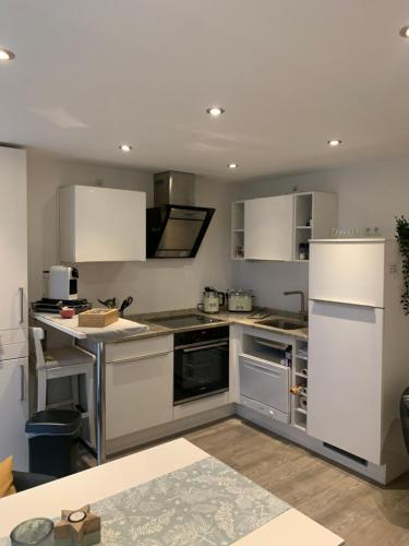 波恩City Apartments am Rhein的厨房配有不锈钢用具和白色橱柜