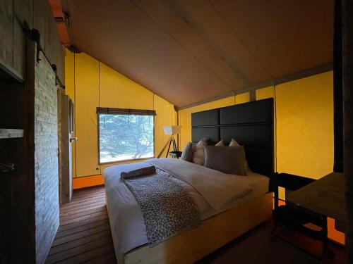马洪贝GIFFORD private Island GLAMPING boat ride included的一间卧室设有一张黄色墙壁的大床
