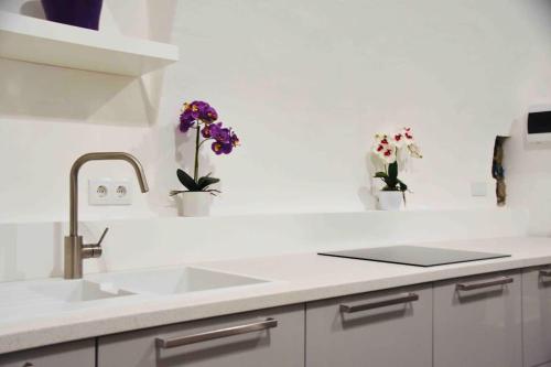 索普隆Nuovo Casa的厨房配有水槽和两瓶鲜花