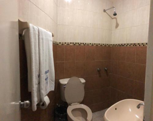 瓜达拉哈拉Hotel Vigo的一间带卫生间和水槽的浴室