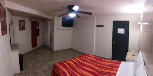 瓜达拉哈拉Hotel Vigo的一间卧室配有一张床和吊扇