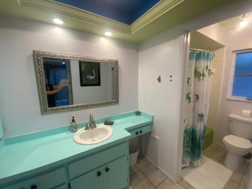 萨拉索塔Casa Limon with HEATED POOL的一间带水槽、镜子和卫生间的浴室