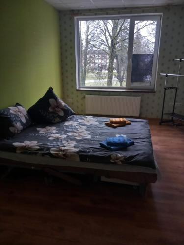 巴尔维Balvu centrs Partizanu 10的窗户客房内的一张大床