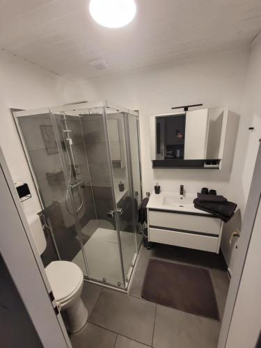 塞默灵Apartment Mohr am Semmering的带淋浴、卫生间和盥洗盆的浴室