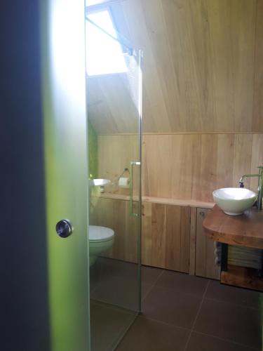 Den DungenStudio Nok bij Den Bosch的带淋浴、卫生间和盥洗盆的浴室