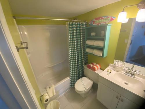 代托纳海滩Amazing Ocean View Studio Daytona Beach的一间带水槽、卫生间和淋浴的浴室