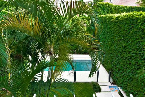 布宜诺斯艾利斯Casa Caravan - Plant Based Concept House的游泳池旁的棕榈树