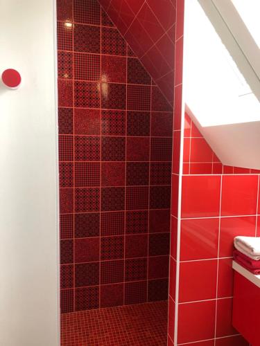 BourgheimB&B Le Lodge的浴室内设有红色瓷砖淋浴。