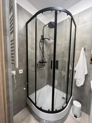 帕比亚尼采Nowe mieszkanie, fajna kamienica的浴室里设有玻璃门淋浴