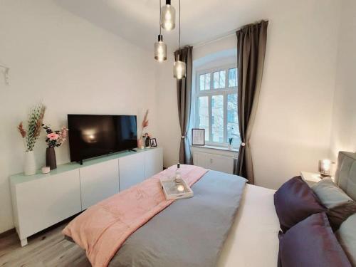 德累斯顿Daheim in Dresden的一间卧室配有一张床和一台平面电视