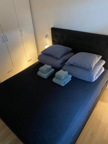 布罗艾厄AgerBro的一张带两个枕头的床和毛巾