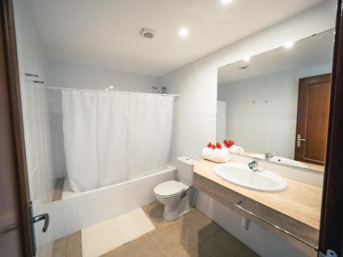 卡拉米洛Prope Mare Apartamentos的一间带水槽、卫生间和镜子的浴室