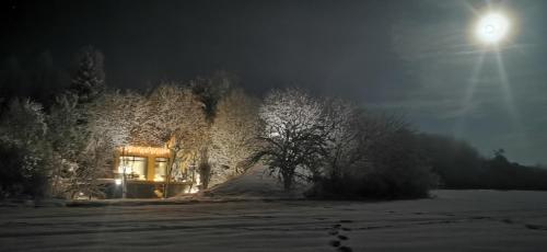 SalantaiPASSION HUT的夜晚雪中有一棵树的房子