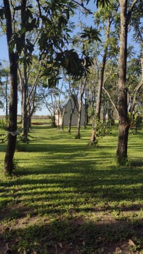 Carmen del ParanáCarmen del Paraná Sandra Hostel的公园里种有树木的草地