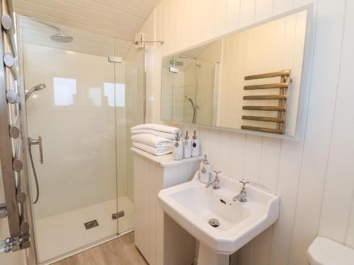 约克Arts and Crafts的白色的浴室设有水槽和淋浴。