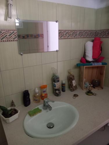 哥西尔Chez cloclo的浴室的柜台设有水槽和镜子