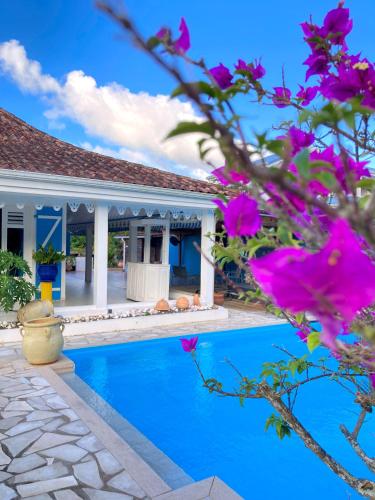 DucosVilla La Roserie的一座别墅,设有游泳池和粉红色的鲜花