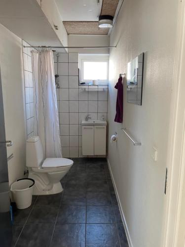 斯凯恩Skjernaa-ferie/ Andersen Invest的一间带卫生间和水槽的浴室