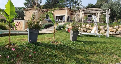 Saint-AlexandreSuperbe villa avec piscine的院子里有盆栽植物的花园的房子
