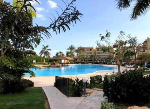 沙姆沙伊赫Chez Sam的棕榈树和建筑的度假村游泳池