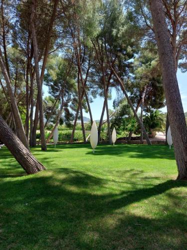 希耶萨Casa de La Campana的草丛中树木和白色雕塑的公园