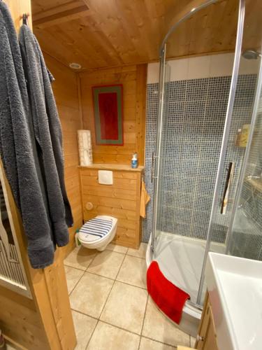 托讷猫头鹰小木屋的带淋浴、卫生间和浴缸的浴室